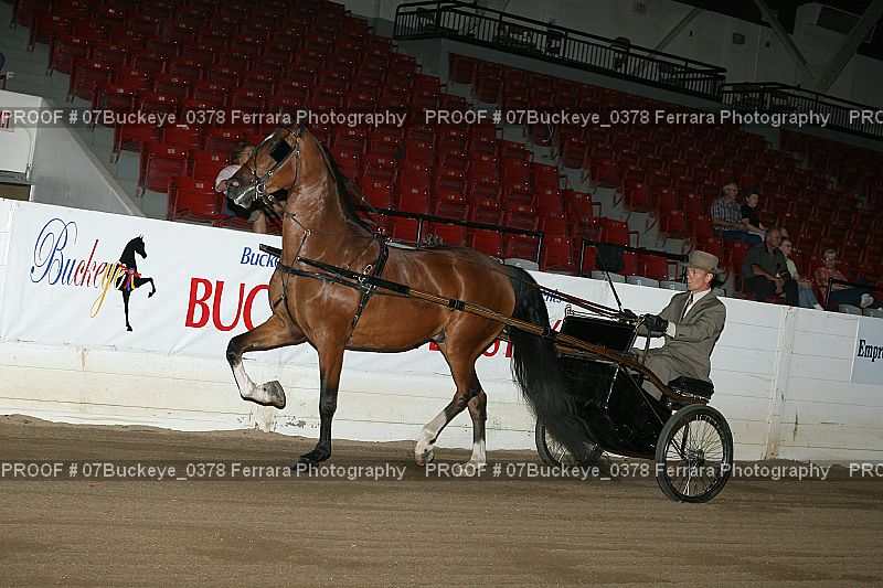 Proof 07Buckeye_0378