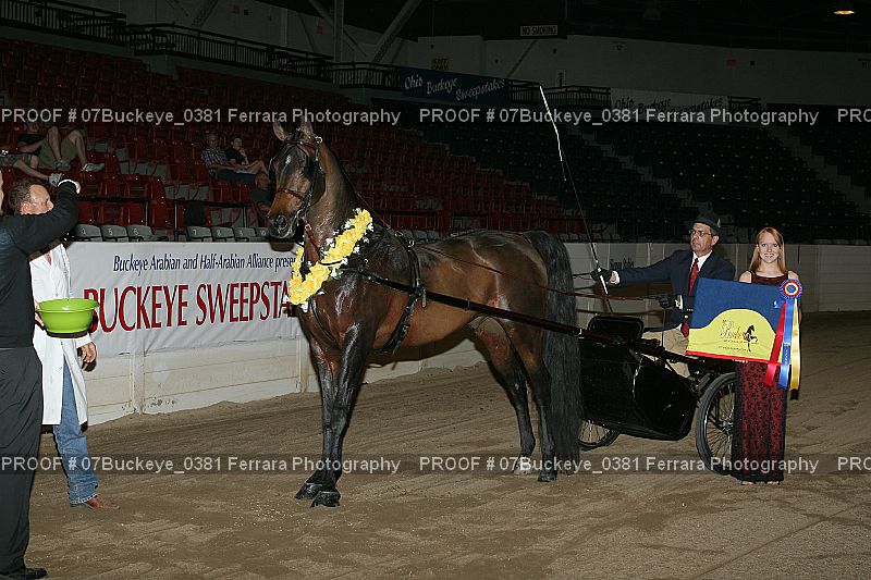 Proof 07Buckeye_0381
