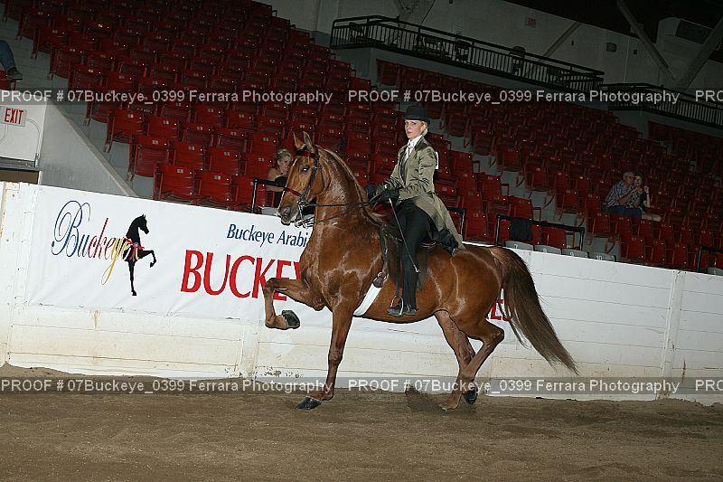 Proof 07Buckeye_0399