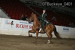 07Buckeye_0401 proof