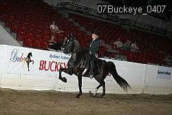 07Buckeye_0407 proof
