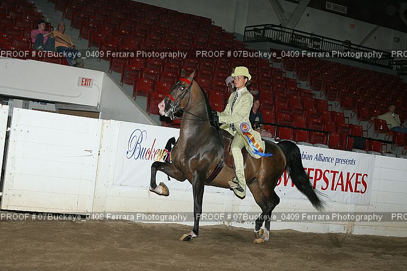 Proof 07Buckeye_0409