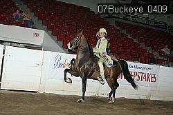 07Buckeye_0409 proof