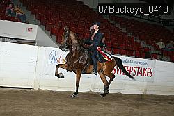 07Buckeye_0410 proof