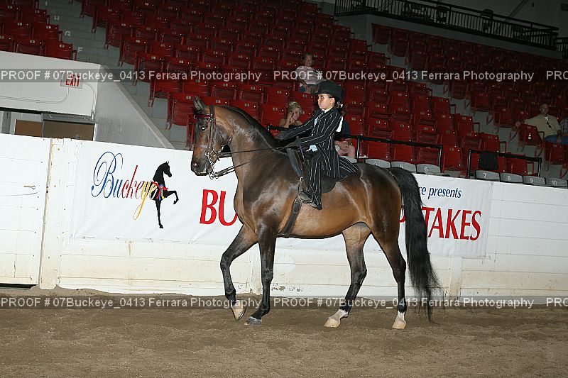 Proof 07Buckeye_0413