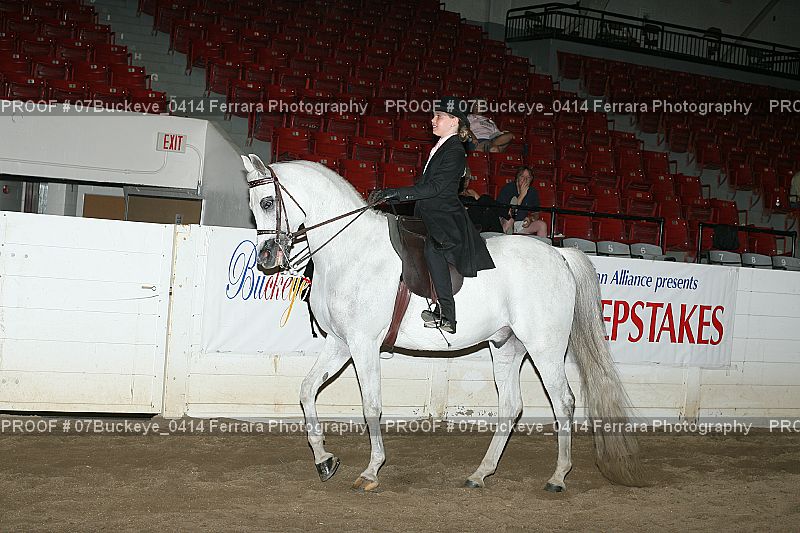 Proof 07Buckeye_0414