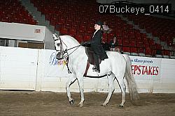 07Buckeye_0414 proof
