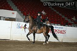 07Buckeye_0417 proof