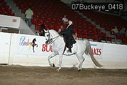 07Buckeye_0418 proof