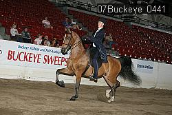07Buckeye_0441 proof