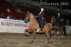 07Buckeye_0443 proof