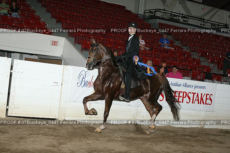 Proof 07Buckeye_0447