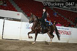 07Buckeye_0447 proof