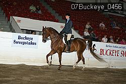 07Buckeye_0456 proof
