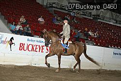 07Buckeye_0460 proof