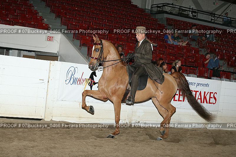 Proof 07Buckeye_0466