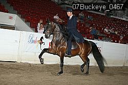 07Buckeye_0467 proof
