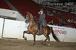 07Buckeye_0468 proof