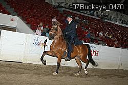 07Buckeye_0470 proof