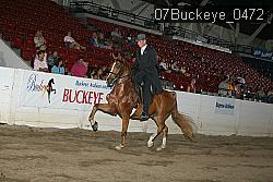 07Buckeye_0472 proof