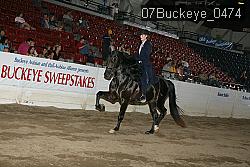 07Buckeye_0474 proof