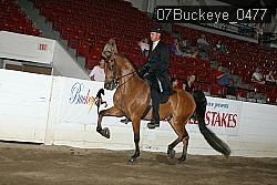 07Buckeye_0477 proof