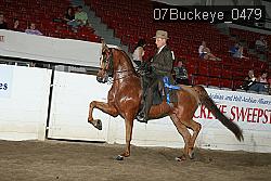 07Buckeye_0479 proof