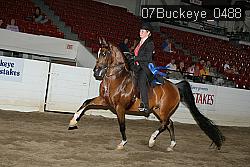 07Buckeye_0488 proof