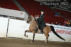 07Buckeye_0502 proof