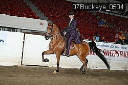 07Buckeye_0504 proof