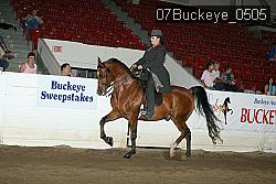 07Buckeye_0505 proof