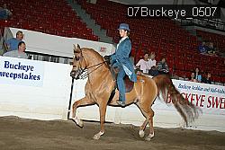 07Buckeye_0507 proof