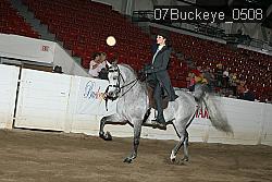 07Buckeye_0508 proof