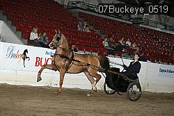 07Buckeye_0519 proof