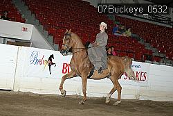07Buckeye_0532 proof