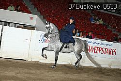 07Buckeye_0533 proof