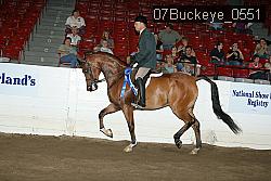 07Buckeye_0551 proof