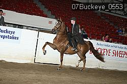 07Buckeye_0553 proof
