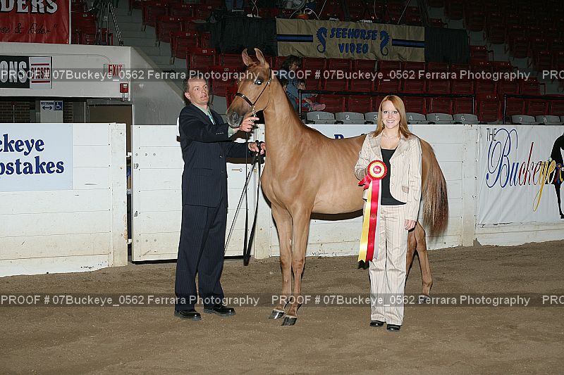 Proof 07Buckeye_0562