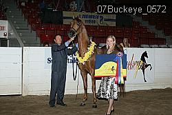 07Buckeye_0572 proof