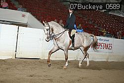 07Buckeye_0589 proof