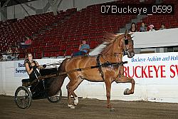 07Buckeye_0599 proof