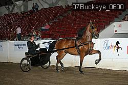 07Buckeye_0600 proof