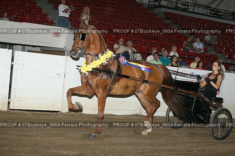 Proof 07Buckeye_0604