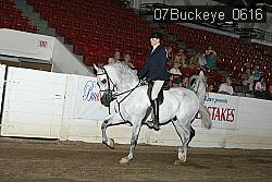 07Buckeye_0616 proof