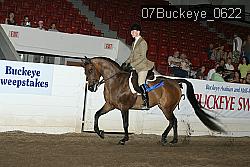 07Buckeye_0622 proof