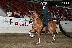 07Buckeye_0633 proof