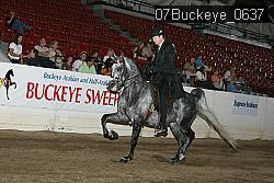 07Buckeye_0637 proof