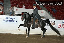07Buckeye_0653 proof