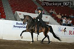 07Buckeye_0673 proof